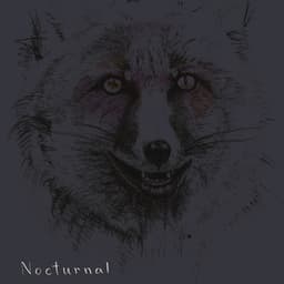 Nocturnal - Jesper Zeuthen