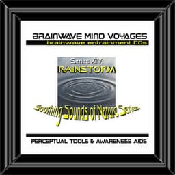 BMV Series 14 - Rainstorm - Nature Rain Brainwave Meditation - Brainwave Mind Voyages