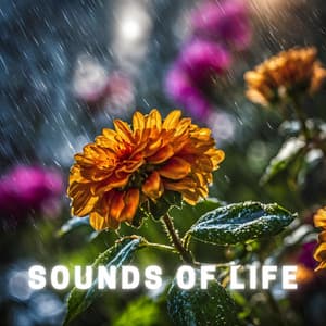 Sounds of Life - Little Circuits