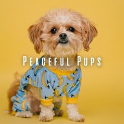 Peaceful Pups: Relaxing Tunes for Dog's Comfort - Relax Yourself