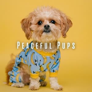 Peaceful Pups: Relaxing Tunes for Dog's Comfort - Relax Yourself