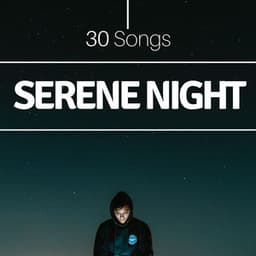 Serene Night 30 Songs: Relaxation, Stress Reduction, Meditation - Asian Silence Duo