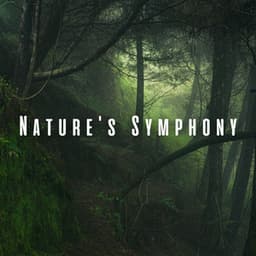 Nature's Symphony: Yoga Meditation with Ambient Sounds - Nature Music Nature Songs