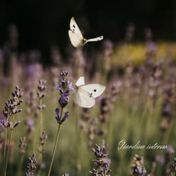 Giardino interno - Giulia Tylor