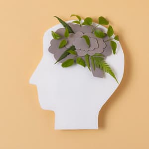 Mental Strength - Brayan Brain Waves