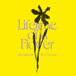 Lifetime of a Flower - Eiko Ishibashi