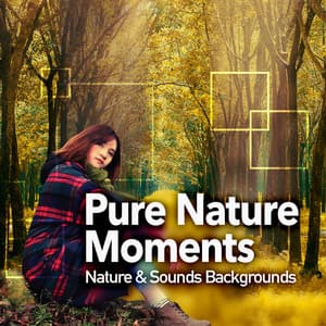 Pure Nature Moments - Nature Sounds & Backgrounds