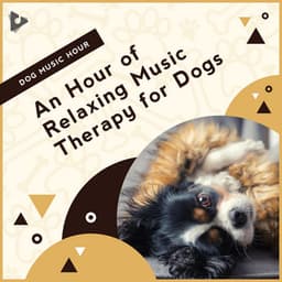 An Hour of Relaxing Music Therapy for Dogs - Dog Music Hour