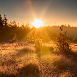 Viajes Armónicos: Colección De Música De Guitarra - Guitarra Clásica Española