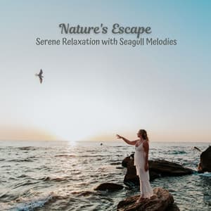 Nature's Escape: Serene Relaxation with Seagull Melodies - Sea of Noise