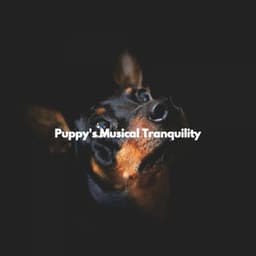Puppy's Musical Tranquility - Lazy Sunday Jazz