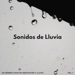 Sonidos De Lluvia: Un Sereno Viaje De Meditación Y Lluvia - Meditación de lluvia