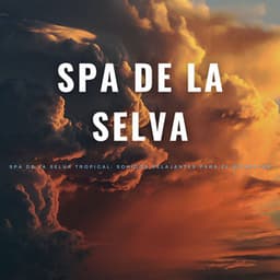 Spa De La Selva Tropical: Sonidos Relajantes Para El Bienestar - Ruidos de la Selva