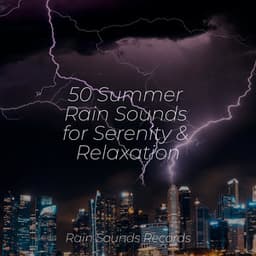 50 Summer Rain Sounds for Serenity & Relaxation - Canciones de Cuna para Bebés Acadèmico