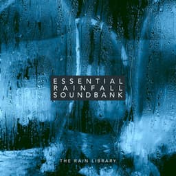 Essential Rainfall Soundbank - The Rain Library