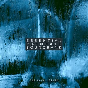 Essential Rainfall Soundbank - The Rain Library