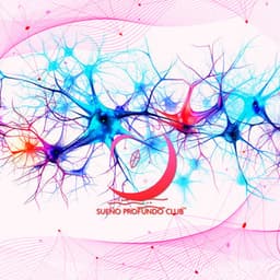 Terapia del Sueño para la Estimulación del Nervio Vago - Sueño Profundo Club