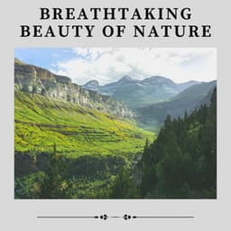 Breathtaking Beauty of Nature - Organic Nature Sounds