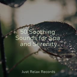 50 Soothing Sounds for Spa and Serenity - Bedtime Lullabies