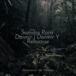 Sonidos Para Dormir | Dormir Y Relajarse - PowerThoughts Meditation Club