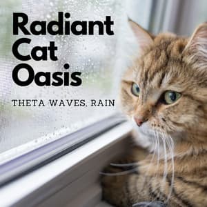 Radiant Cat Oasis: Theta Waves, Rain - Relax My Cat