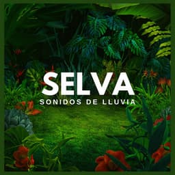 Selva: Sonidos de Lluvia - Sonidos De La Selva