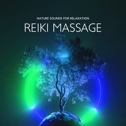 Nature Sounds for Relaxation - Phoebe Mapleside