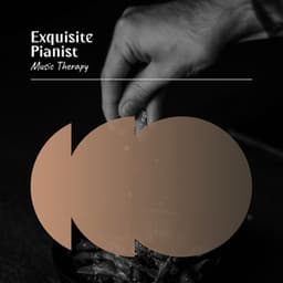 Exquisite Pianist Music Therapy - Classical Music