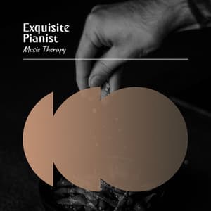 Exquisite Pianist Music Therapy - Classical Music
