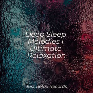 Deep Sleep Melodies | Ultimate Relaxation - Naturaleza Sonidos