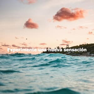 Experimente una nueva sensación - Chilled Jazz Masters