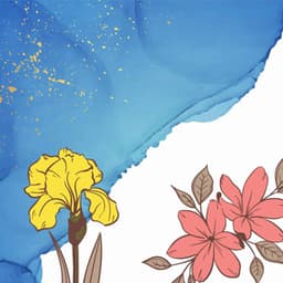 Backdrop for Meditative Peacefulness - Jazz Guitar Solo - Chill Out Dinner Jazz