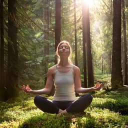 Armonía Equilibrada: Música Para La Meditación - Frecuencias de solfeo 528 Hz