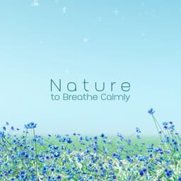 Nature to Breathe Calmly: Sleep Solution Music with Water Sounds, Anxiety Relief before Bed and Slow Thoughts - Calming Music Sanctuary