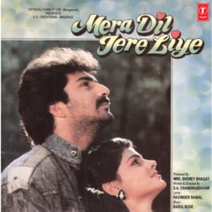 Mera Dil Tere Liye - Babul Bose