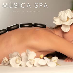 Música Spa: Sonidos Binaurales Agradables - Musica Spa