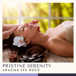 Pristine Serenity: Relaxing Massage Therapy - Amazing Spa Music
