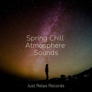Spring Chill Atmosphere Sounds - Kinderliederbande
