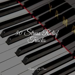50 Stress Relief Tracks - Romantic Piano Music