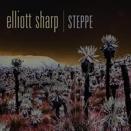 Steppe - Elliott Sharp