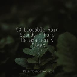 50 Loopable Rain Sounds - Pure Relaxation & Sleep - Musica Para Estudiar Academy