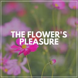 The Flower's Pleasure - Nature Sounds Nature Music