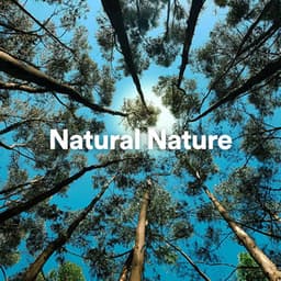 Natural Nature - Worldwide Nature Studios