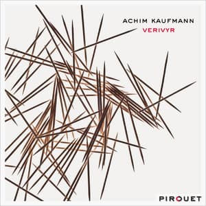 Verivyr - Achim Kaufmann