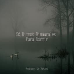 50 Ritmos Binaurales Para Dormir - Sonidos De Truenos y Lluvia