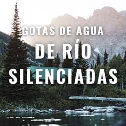 Gotas De Agua De Río Silenciadas - Sonidos relajantes del agua