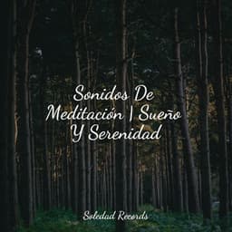 Sonidos De Meditación | Sueño Y Serenidad - Meditação Yoga Maestro