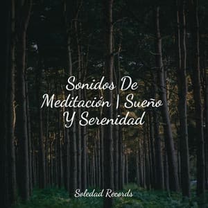 Sonidos De Meditación | Sueño Y Serenidad - Meditação Yoga Maestro