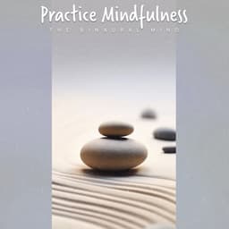 Practice Mindfulness - The Binaural Mind