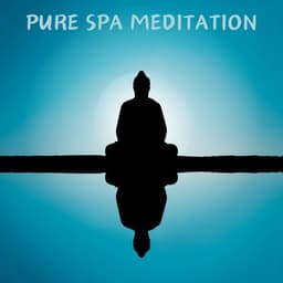 Pure Spa Meditation - Spa Music & Meditation Collective